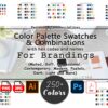 Branding Color Palette Combinations